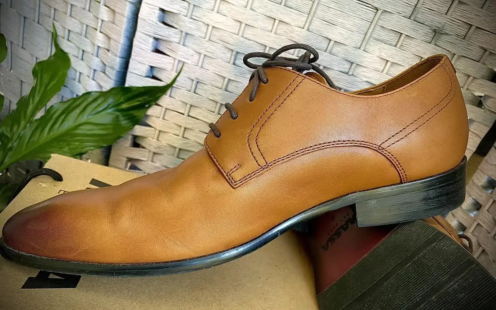 Massa Ascoli Leather Derby Dress Lace Up Shoes Wedding Business Formal in Tan - UK 10