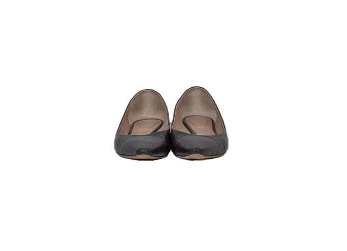 Pointed Toe Ballet Flat